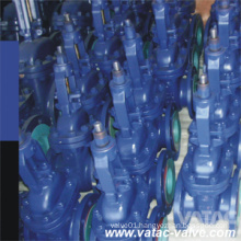 Cast Iron&Ductile Iron Gg25&Ggg40 DIN Flanged Gate Valve